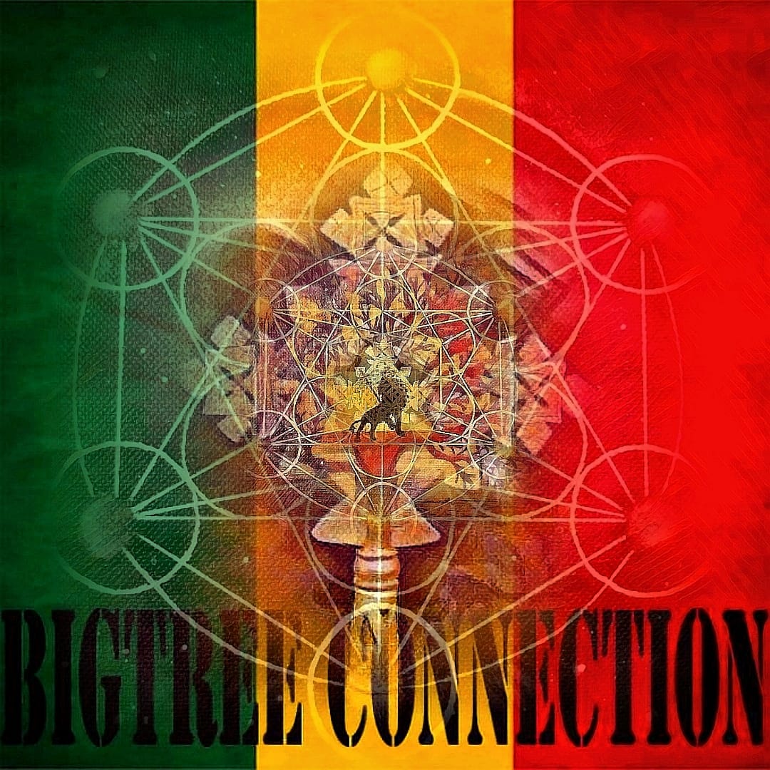 Logo BigTree